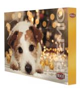 Kalendarz świąteczny dla psa