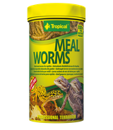 Tropical Meal Worms - 13g/100ml