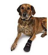 Buty dla psa "Walker Professional" - rozmiar XXXL