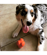 Crazy bounce L - zwariowana piłka dla psa