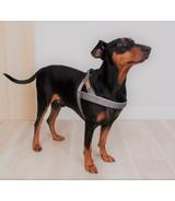 Szelki norweskie Classic L