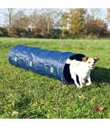 Tunel sztywny Agility - 40cm/2m