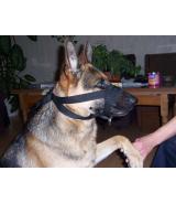 Kantar, obroża uzdowa, halti - regulowany