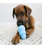 Kong Puppy M