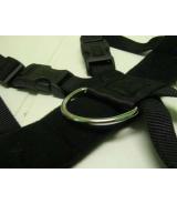 Szelki samochodowe - pasy dla psa - rozmiar S