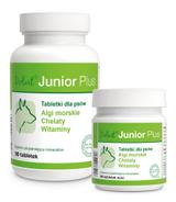 Dolvit Junior Plus - 90 tabletek mini