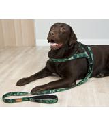 Szelki norweskie Color Forest L