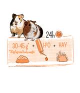 Puur Guinea Pig 700g