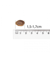 Baltica Salmon Hypoallergenic Medium 9kg