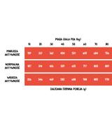 Wiejska Zagroda Wołowina z indykiem 9kg