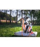 Szelki regulowane Guard Samba M