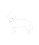 Obroża regulowana BeHappy L