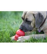 Snacks Liver L 300g Kong