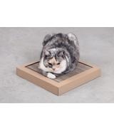 Carton+ Pets Drapak Tom