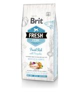 Brit Fresh Adult Large Breed Fish & Pumpkin - 12kg