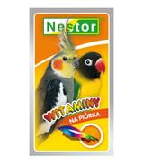 Witaminy dla średnich papug 20g - piórka