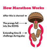 Kong Marathon M Peanut Butter