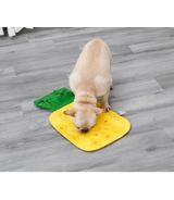 Mata węchowa Ananas