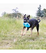 Jumbler Ball L/XL Kong