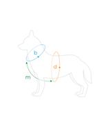 Szelki regulowane Guard Samba L