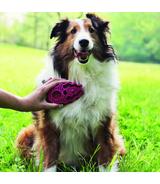 ZoomGroom Raspberry L Kong