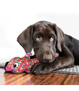 Wubba Finz Pink S Kong