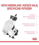 Royal Canin Babycat - 0,4kg