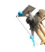 Coockoo Foxy - wędka interaktywna