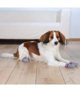 Skarpetki antypoślizgowe dla psa - S-M