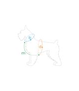 Szelki regulowane BeHappy M