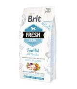 Brit Fresh Adult Large Breed Fish & Pumpkin - 2,5kg