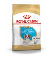 Royal Canin Cavalier King Charles Puppy 1,5kg