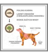 Pupil Premium Insects All Breeds 12kg