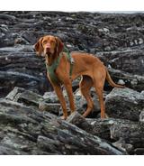 Szelki Hurtta Weekend Warrior Harness Eco 45-60cm