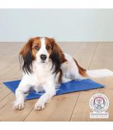 Mata chłodząca - 50 × 40 cm