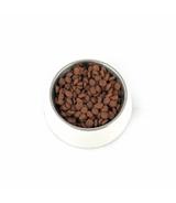 PUPIL Premium Adult M&L Bogata w Wołowinę 3kg