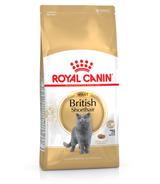 Royal Canin British Shorthair - 4kg