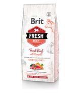Brit Fresh Junior Large Breed Beef & Pumpkin - 12kg