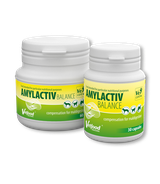 Amylactiv Balance 30 kaps.