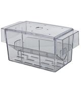 Kotnik dla ryb żyworodnych