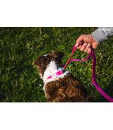 Smycz regulowana 7 in 1 Samba M