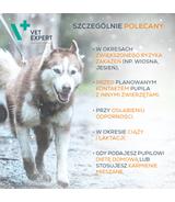 Immune System 30 kapsułek