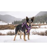 Szelki Hurtta Weekend Warrior Harness 45-60cm