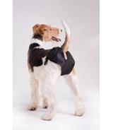 Majtki na cieczkę - XXS - 24-40cm