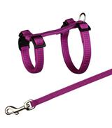 Szelki i smycz dla świnek morskich