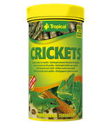 Tropical Crickets - 25g/250ml