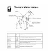 Szelki Hurtta Weekend Warrior Harness 45-60cm