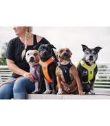 Szelki Hurtta Weekend Warrior Harness 60-80cm