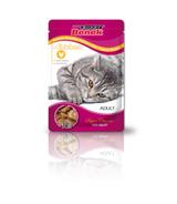 Super Benek Adult 100g