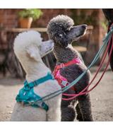 Szelki Hurtta Weekend Warrior Harness 100-120cm